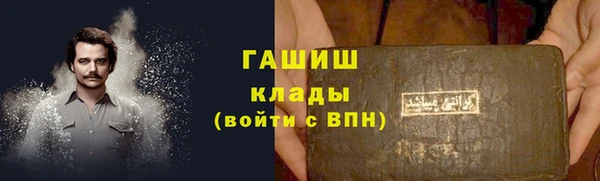 ECSTASY Алзамай