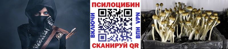 Галлюциногенные грибы MAGIC MUSHROOMS  Ахтырский 