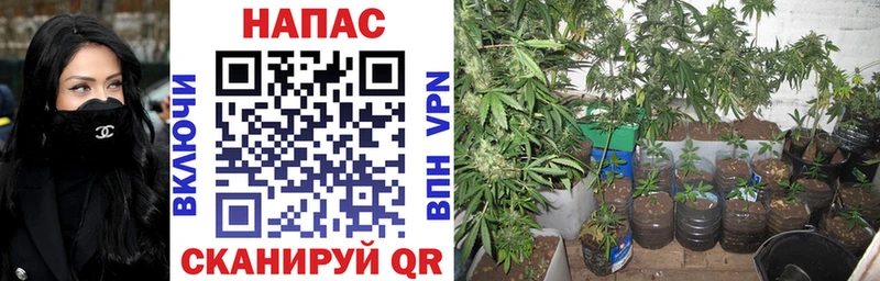 Марихуана LSD WEED  где можно купить наркотик  Ахтырский 